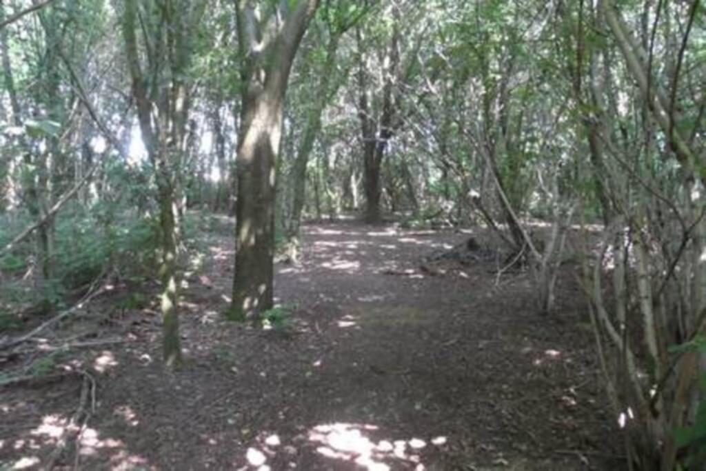 Vakantiehuis Horsterwold Zeewolde Luaran gambar